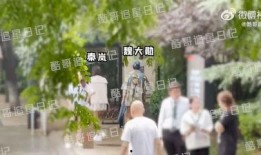 皮哥爆料视频大全集最新,揭秘娱乐圈幕后真相